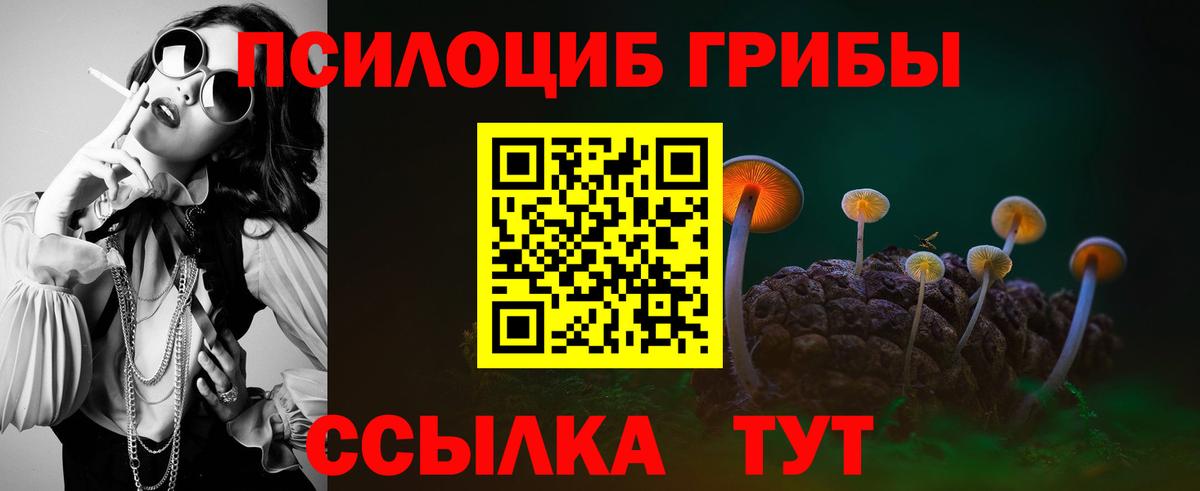 Галлюциногенные грибы Magic Shrooms Сунжа